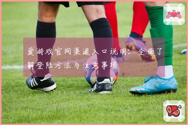 爱游戏官网渠道入口说明：全面了解登陆方法与注意事项