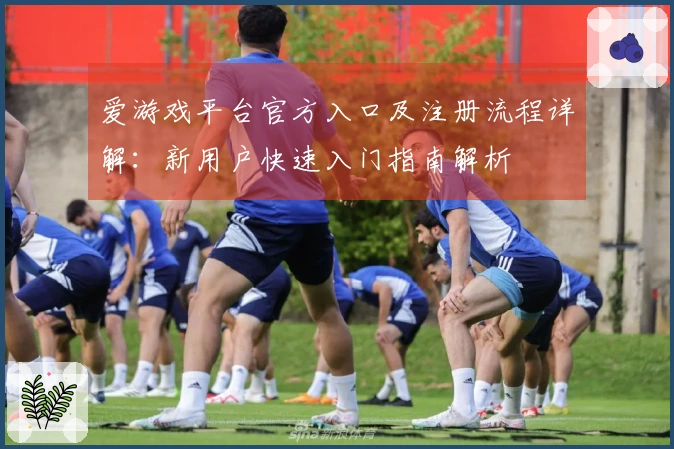 爱游戏平台官方入口及注册流程详解：新用户快速入门指南解析